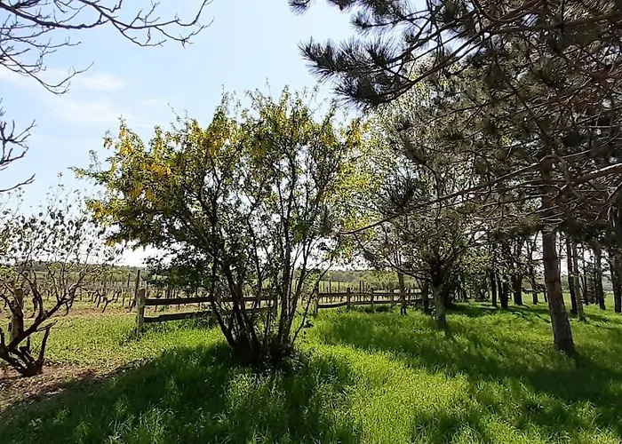 La Maison De Maitre Meunier